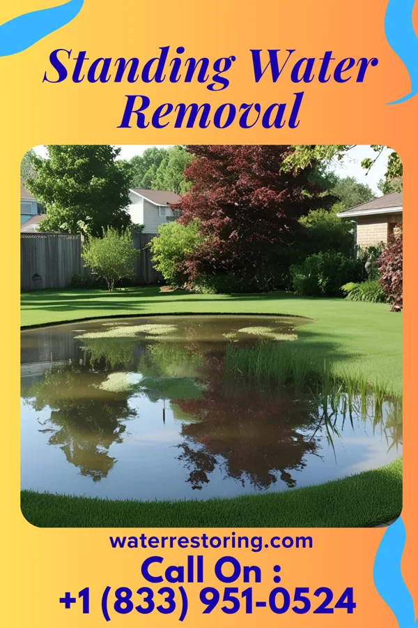 Standing Water Removal in Redland, AL